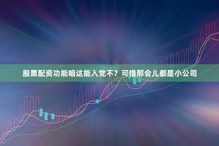 股票配资功能咱这能入党不？可惜那会儿都是小公司
