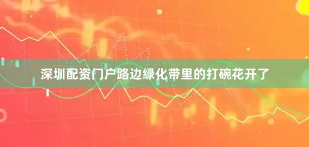 深圳配资门户路边绿化带里的打碗花开了